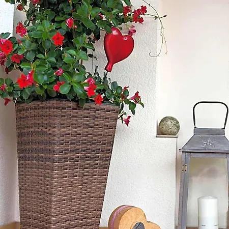 Haus Steinbock Bed & Breakfast 3*