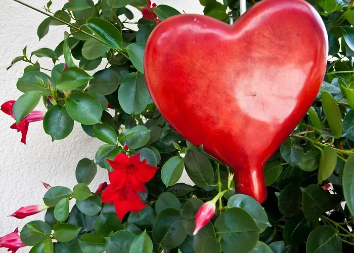 住宿加早餐酒店 Haus Steinbock 施图拜河谷新施蒂夫特