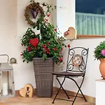 Bed and Breakfast Haus Steinbock 3*